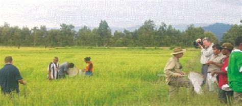 Pertanian Timor Leste